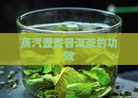 蒸汽壶煮普洱茶的功效