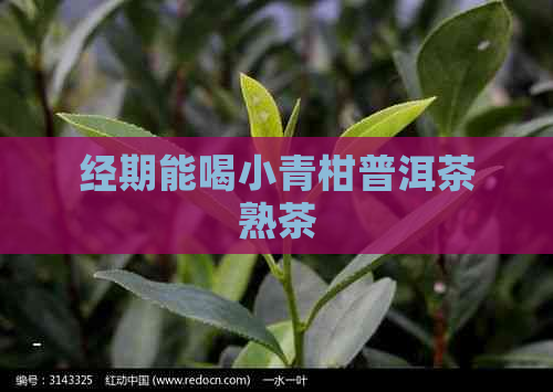 经期能喝小青柑普洱茶熟茶