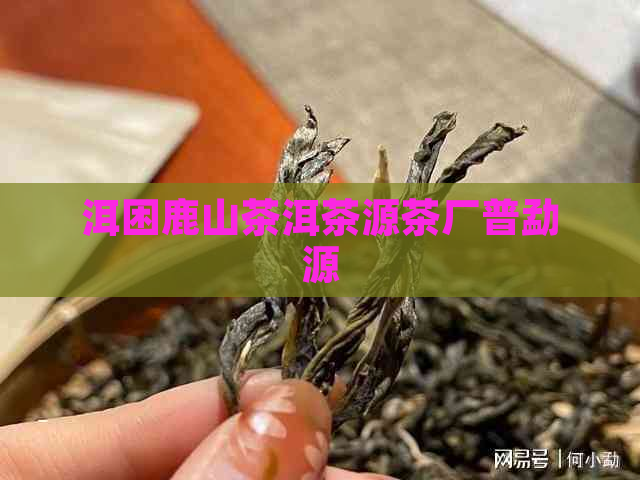 洱困鹿山茶洱茶源茶厂普勐源