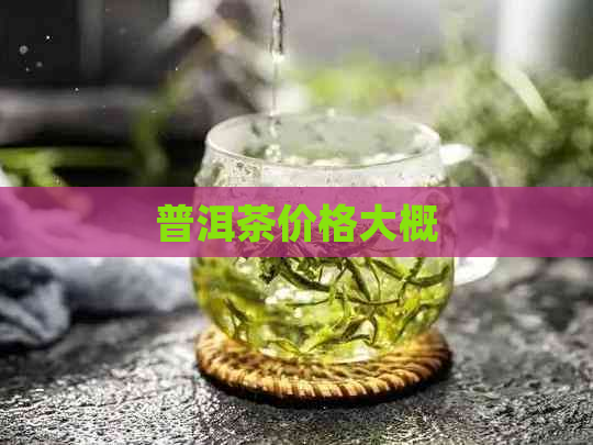 普洱茶价格大概