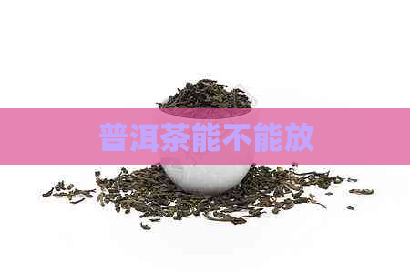 普洱茶能不能放