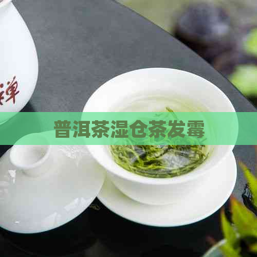 普洱茶湿仓茶发霉