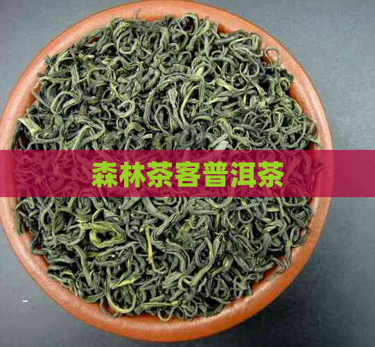 森林茶客普洱茶