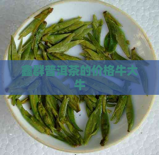 鑫群普洱茶的价格牛大牛