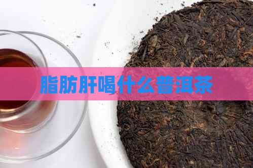 脂肪肝喝什么普洱茶