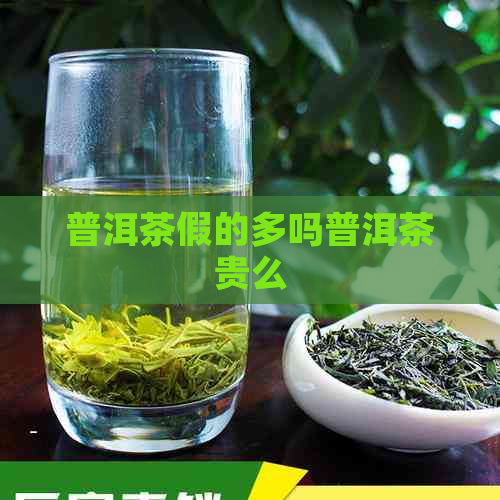 普洱茶假的多吗普洱茶贵么