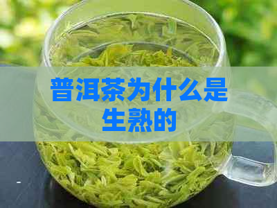 普洱茶为什么是生熟的