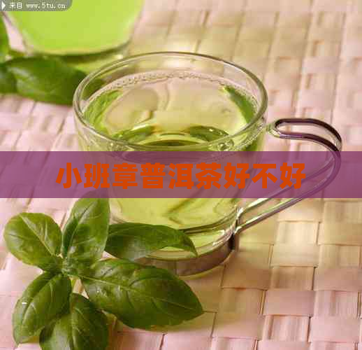 小班章普洱茶好不好