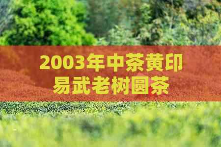 2003年中茶黄印易武老树圆茶