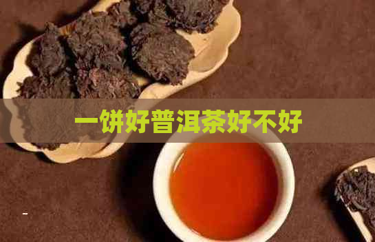 一饼好普洱茶好不好