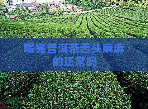 喝完普洱茶舌头麻麻的正常吗