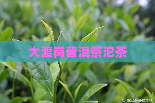 大渡岗普洱茶沱茶