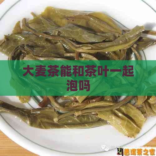 大麦茶能和茶叶一起泡吗