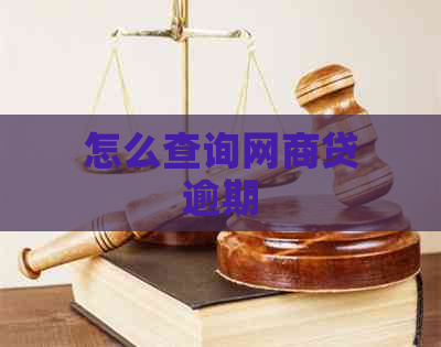 怎么查询网商贷逾期