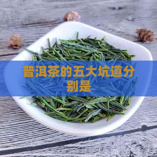 普洱茶的五大坑道分别是