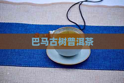 巴马古树普洱茶