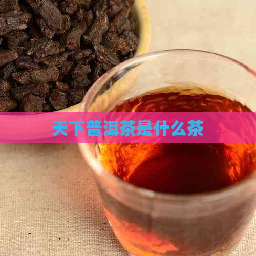 天下普洱茶是什么茶