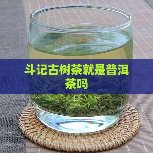 斗记古树茶就是普洱茶吗