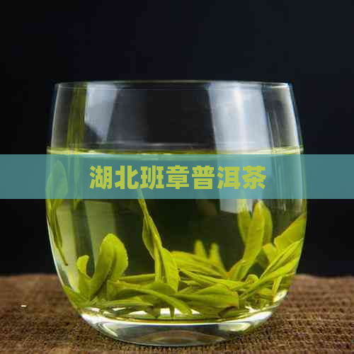 湖北班章普洱茶