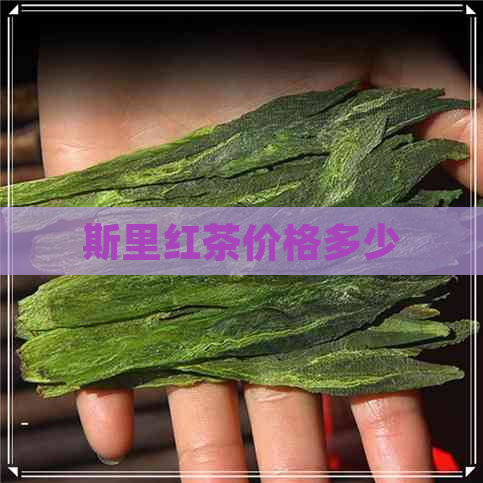 斯里红茶价格多少