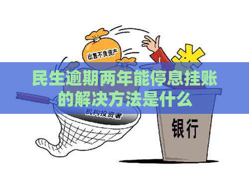 民生逾期两年能停息挂账的解决方法是什么