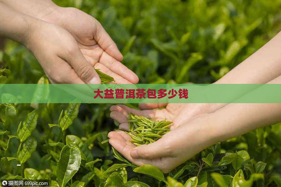 大益普洱茶包多少钱