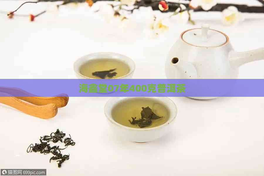 海鑫堂07年400克普洱茶