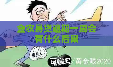 金农易贷逾期一周会有什么后果