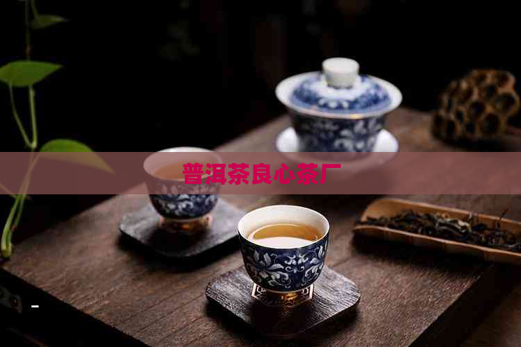 普洱茶良心茶厂