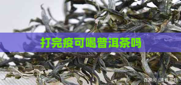 打完疫可喝普洱茶吗