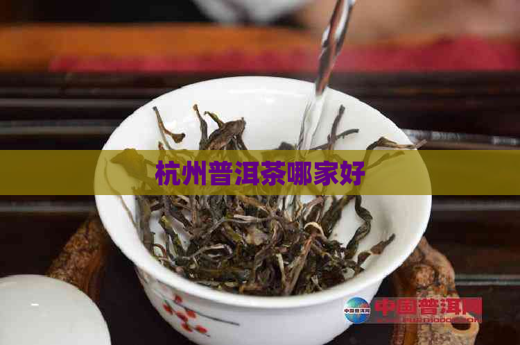 杭州普洱茶哪家好