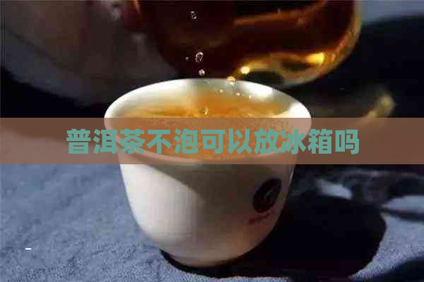 普洱茶不泡可以放冰箱吗