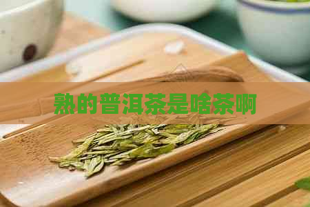 熟的普洱茶是啥茶啊