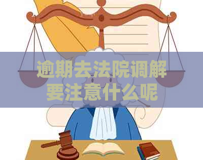 逾期去法院调解要注意什么呢