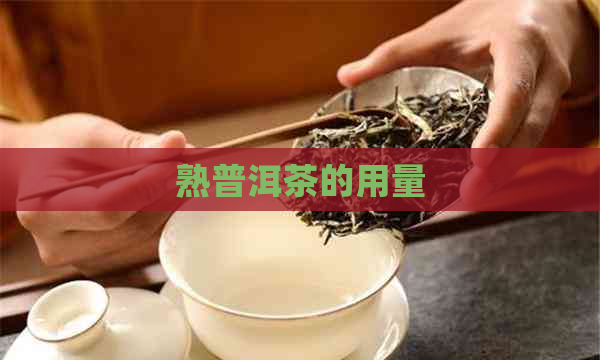 熟普洱茶的用量