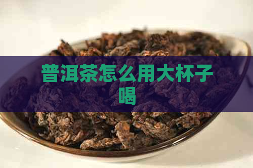 普洱茶怎么用大杯子喝