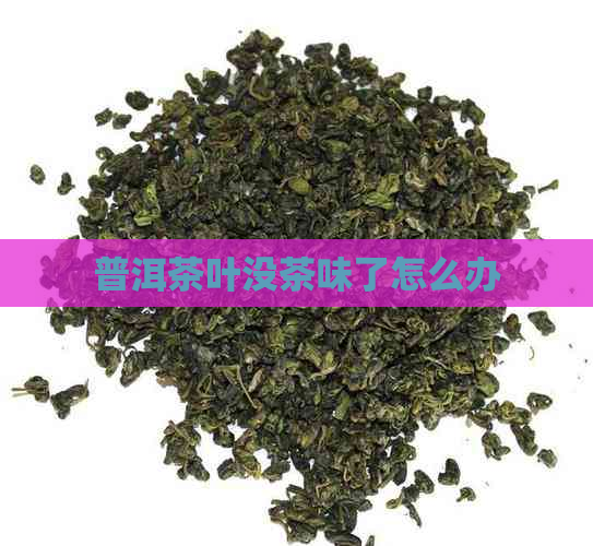 普洱茶叶没茶味了怎么办