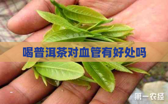 喝普洱茶对血管有好处吗