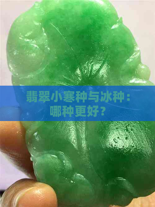 翡翠小寒种与冰种：哪种更好？