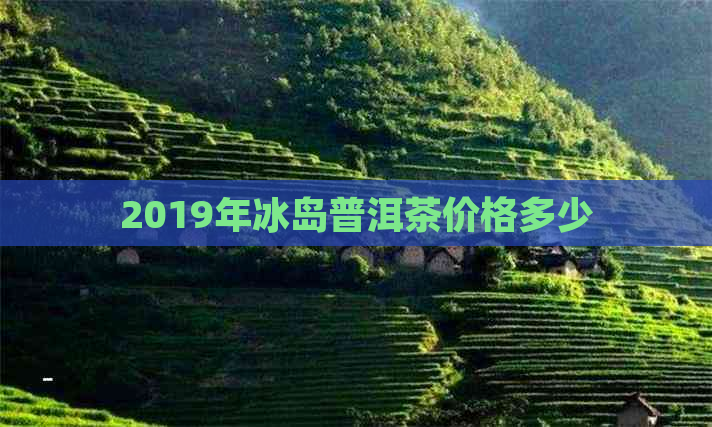 2019年冰岛普洱茶价格多少