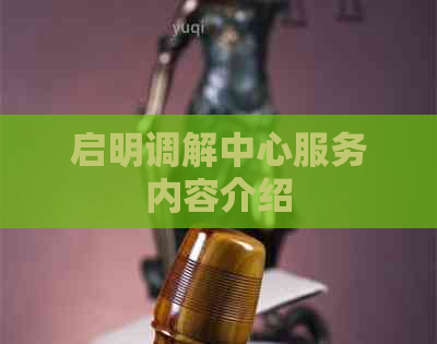 启明调解中心服务内容介绍