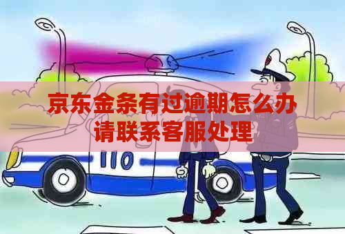 京东金条有过逾期怎么办请联系客服处理