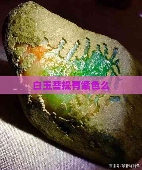 白玉菩提有紫色么