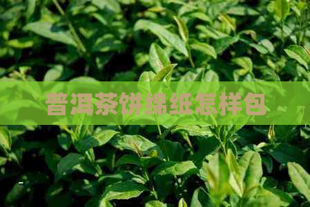 普洱茶饼绵纸怎样包