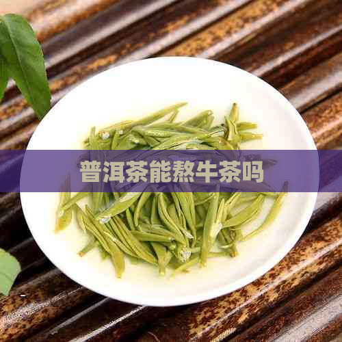 普洱茶能熬牛茶吗