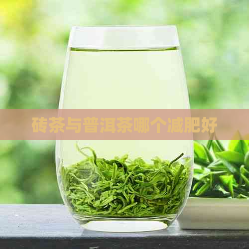 砖茶与普洱茶哪个减肥好