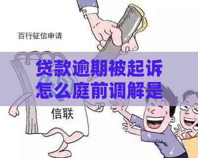 贷款逾期被起诉怎么庭前调解是怎样的