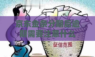 京东金条分期后逾期需要注意什么