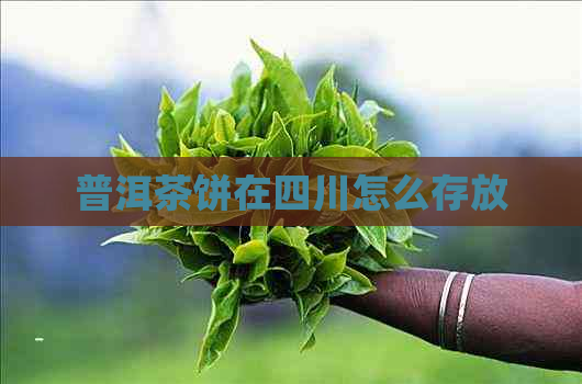 普洱茶饼在四川怎么存放