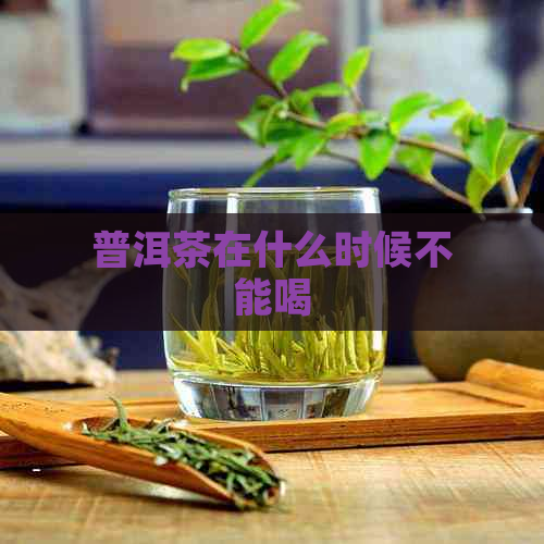 普洱茶在什么时候不能喝